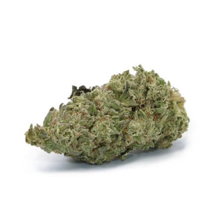 Купить траву Girl Scout Cookies онлайн