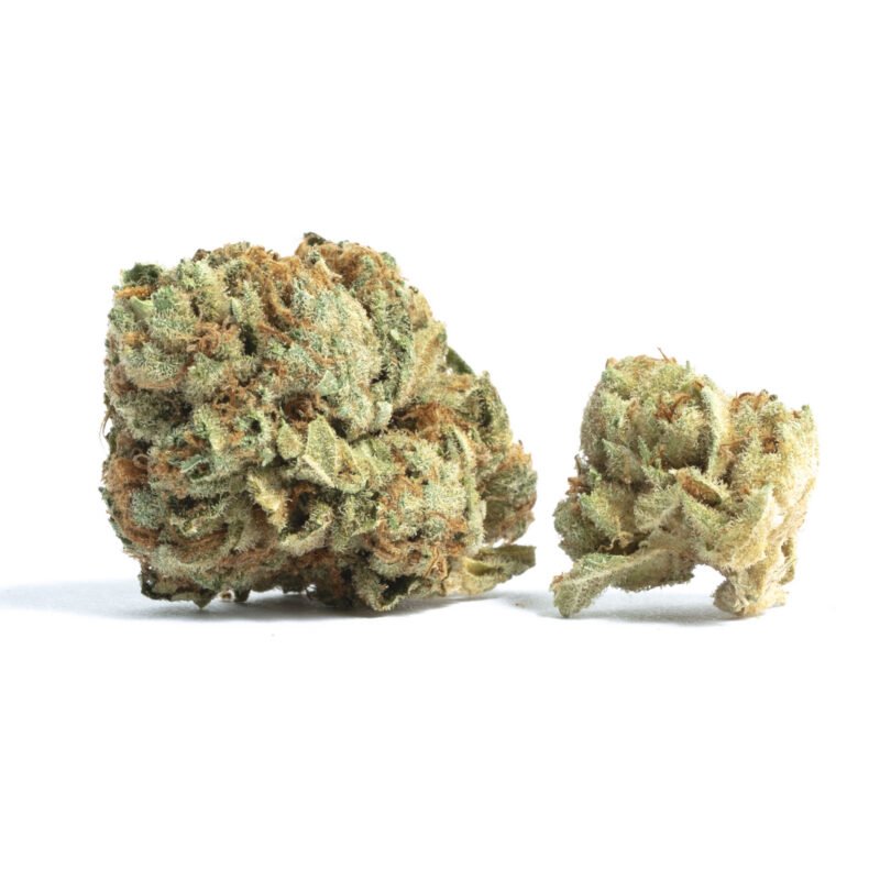 PLATINUM LEMON CHERRY GELATO
