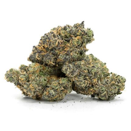 GIRL SCOUT COOKIES STRAIN AROUSAL