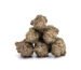 white runtz strain