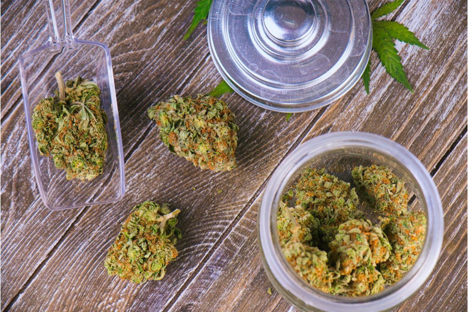blue dream strain effects