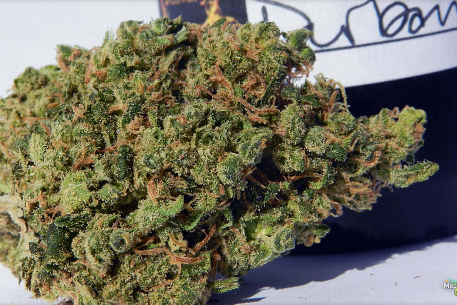 Durban Poison strain