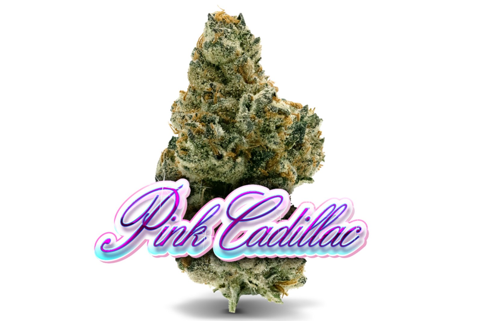 Pink Cadillac Strain