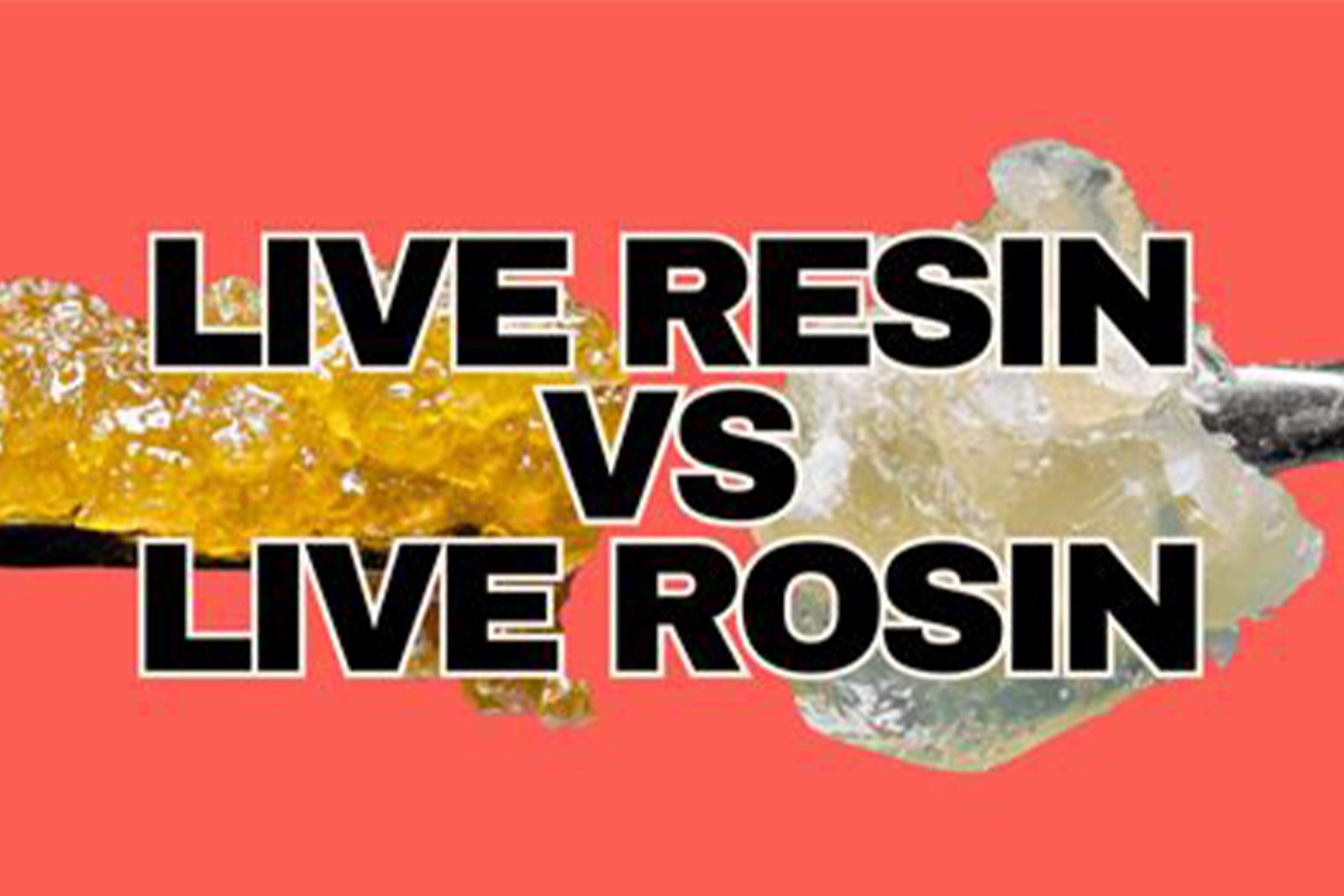 live resin vs live rosin