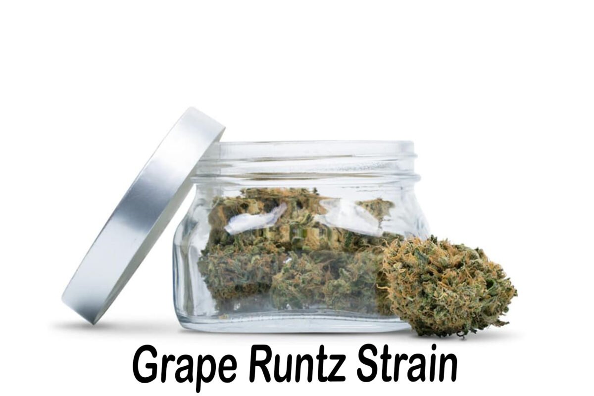 grape runtz strain