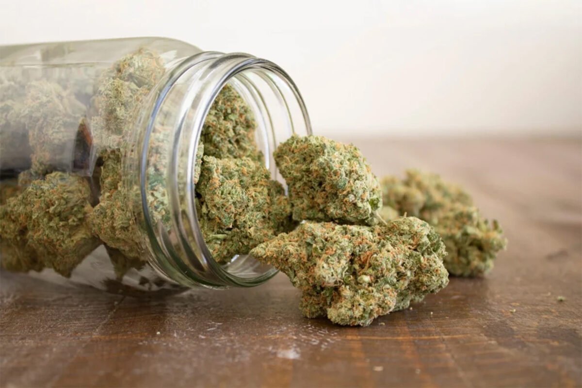 Tropical Runtz, sativa‑dominant hybrid